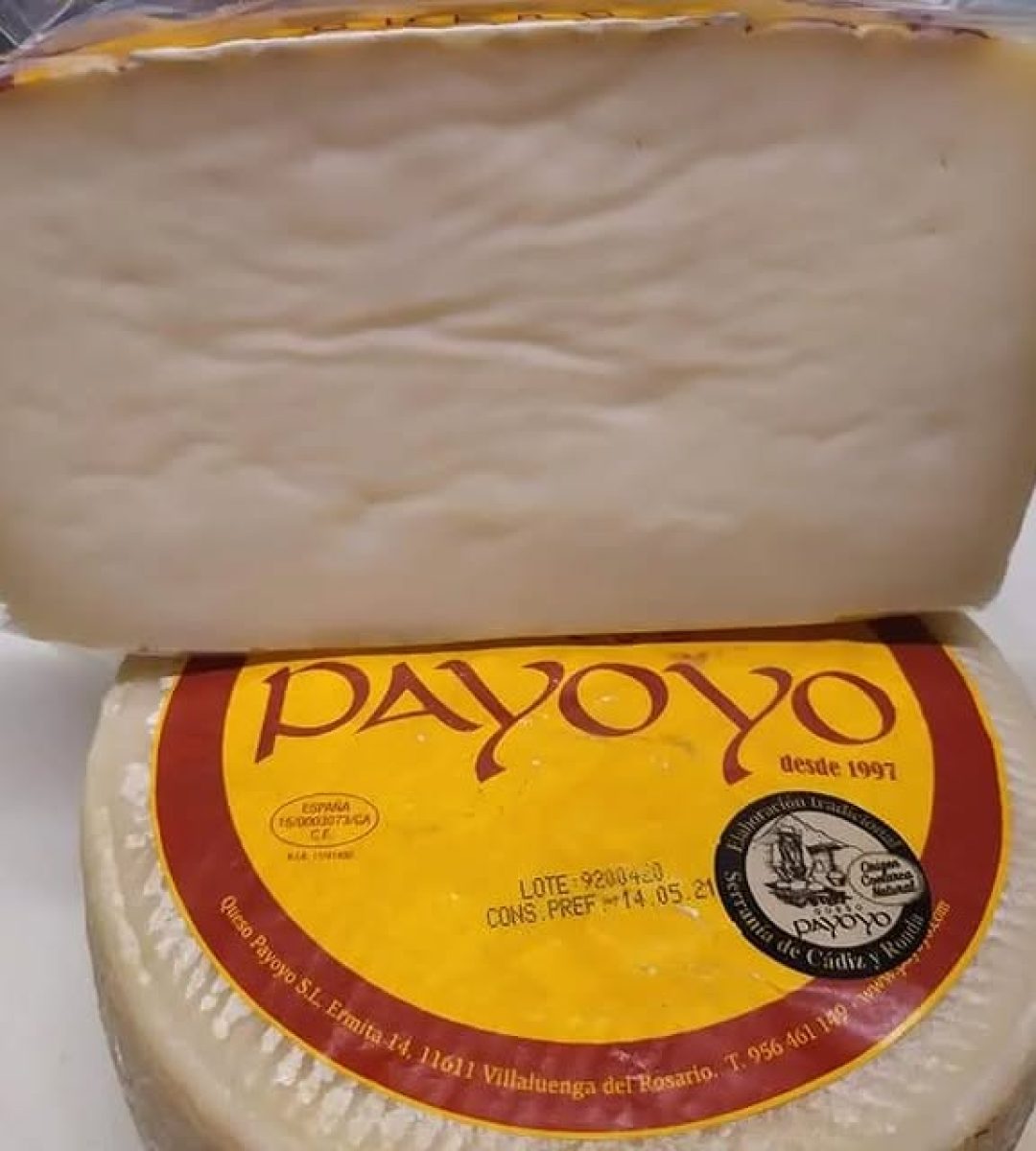 327895081_861023648286172_6557761599992536896_n. - copia